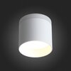 Светильник потолочный ST Luce ST102.502.12