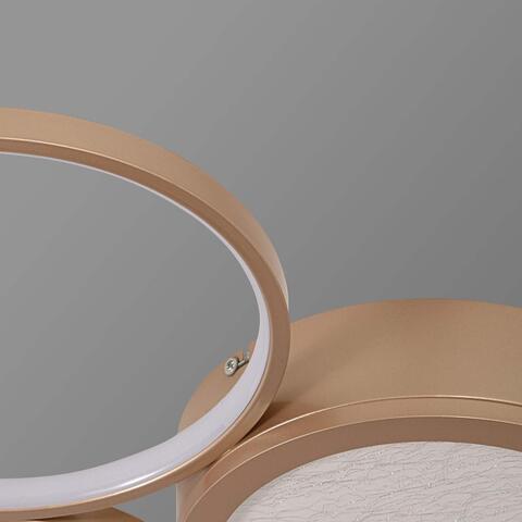 Потолочная светодиодная люстра F-Promo Campus 4681-3C