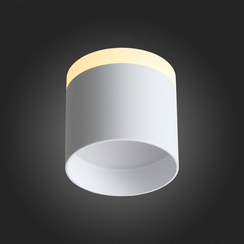 Светильник потолочный ST Luce ST102.502.12