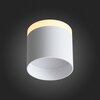 Светильник потолочный ST Luce ST102.502.12