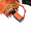 Зонт складной Barbarina 2308 Paisley
