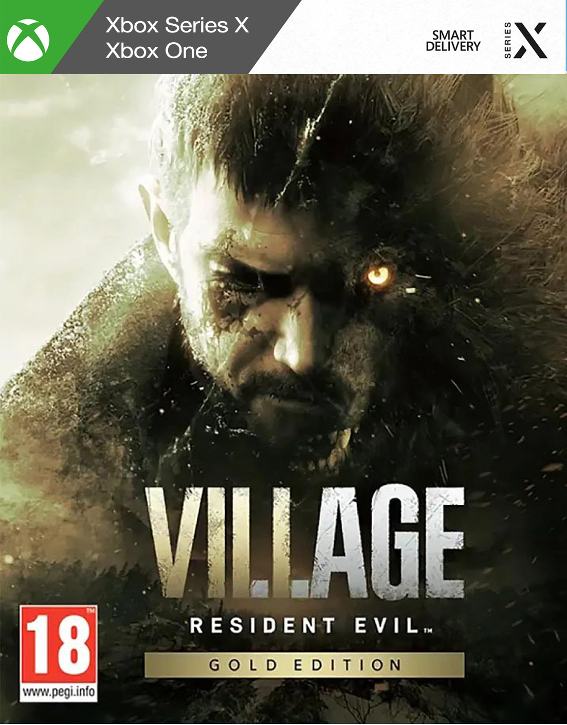 Resident village ps4