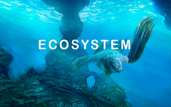Ecosystem (для ПК, цифровой код доступа)