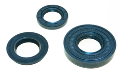 Сальники двигателя 172FMM-3A (комплект)