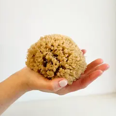 Губка морская неотбеленная Honeycomb 10-12 см "Georgios Karachalios", 1 шт