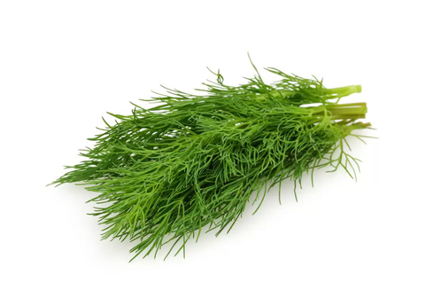 Укроп свежий, 100г