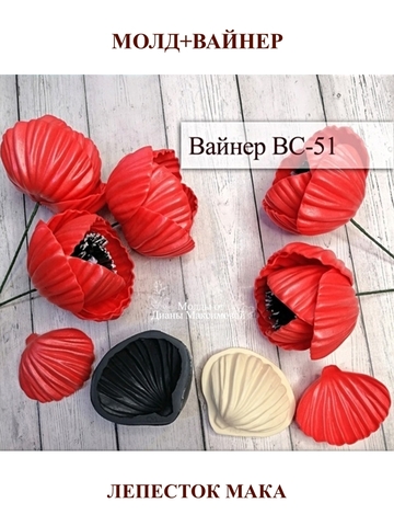 Молд+Вайнер 