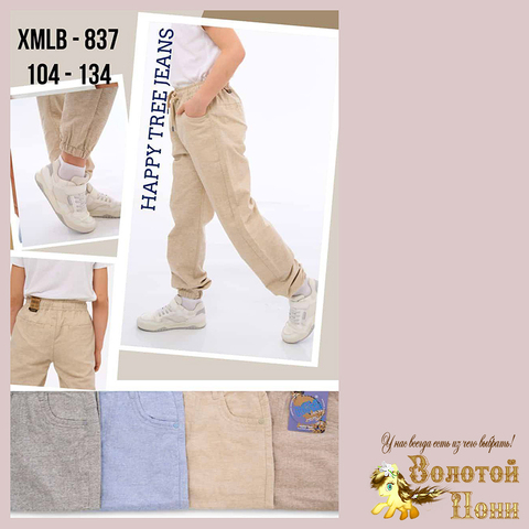 Брюки лён м (4-9) 250528-XMLB-837