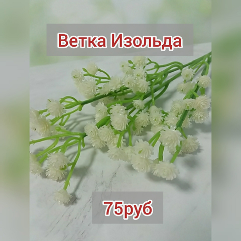 Ветка качим 