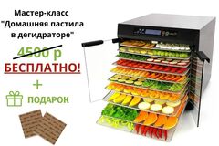 Дегидратор (сушилка) Excalibur Premium 10
