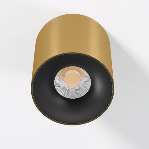 Накладной светодиодный светильник Elektrostandard Primo 25116/LED 12W 4000K латунь