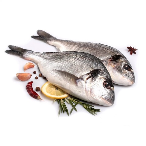 Дорада с головой, не потрошеная, свежемороженая (ТУРЦИЯ)