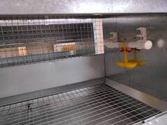 Клетка для бройлеров до 10 голов