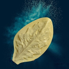 Молд пластиковый 