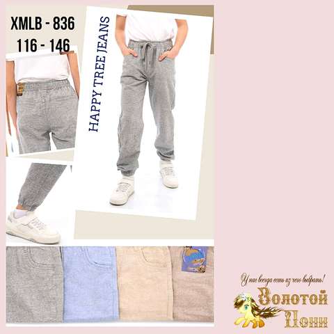 Брюки лён м (6-11) 250528-XMLB-836