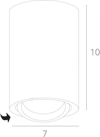 Накладной светильник Arte Lamp SENTRY A1560PL-1GY