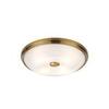 Потолочный светильник Odeon Light Pelow 4956/4