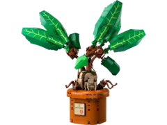 Конструктор LEGO Harry Potter 76433 Мандрагора