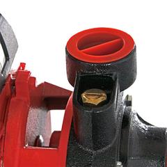 Насос садовый QUATTRO ELEMENTI Giardino 401 Ci (400 Вт, 2100 л/ч, для чистой, 32 м, 4,6 кг)