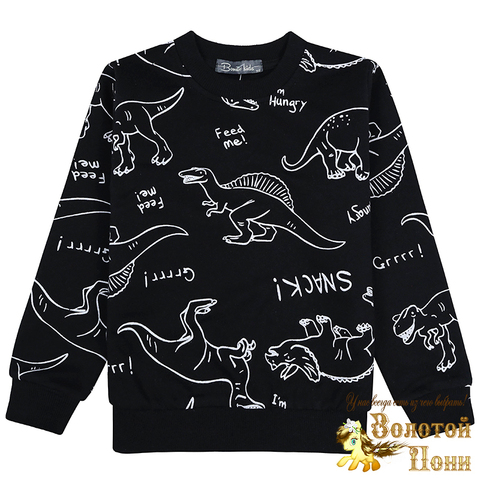 Свитшот хлоп/начес м (3-7) 241030-BK1518T.6