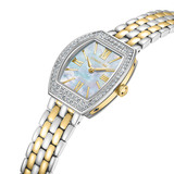 CERRUTI 1881 CIWLG0052003-2