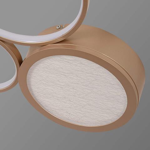 Потолочная светодиодная люстра F-Promo Campus 4681-3C