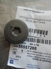 ЗАГЛУШКА РАСПРЕДВАЛА ВПУСКНОГО AVEO, CRUZE ДВИГ D4 GM (С ПРОТОЧКОЙ ПОД БОЛТ)