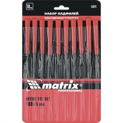 15824 Набор надфилей,180х5мм,10шт,пластиковые рукоятки Matri