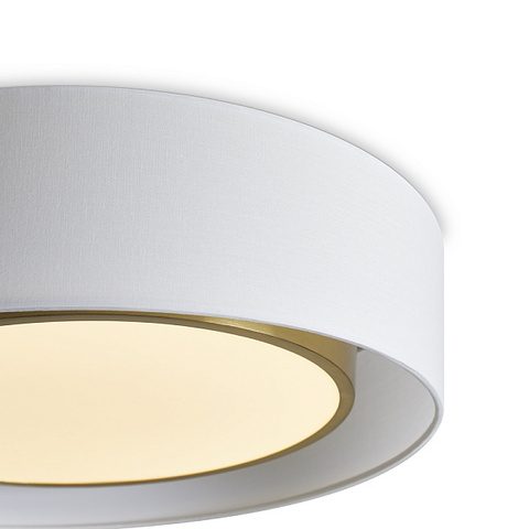 Потолочный светодиодный светильник Freya COZY FR6170CL-L52BS