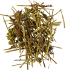 Иссоп (трава, 50гр.) (Старослав)