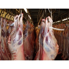 Тушка барашка