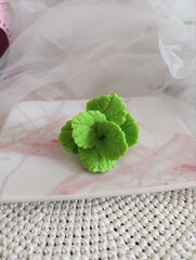 Силиконовая форма 