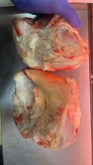 Мостолыга / Мосол (сустав говяжий)