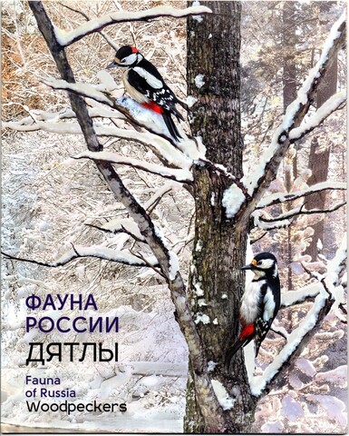 Сувенирный набор в художественной обложке «Фауна России. Дятлы». Квартблок, виньетка, конверт первого дня с гашением. Буклет