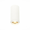 Светильник потолочный ST Luce ST600.532.10