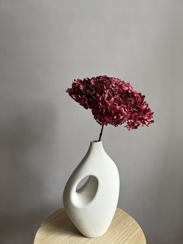 Гортензия стабилизированная вишнево-зеленая