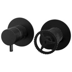 Remer Chrono CH92ZPCFP Смеситель для душа, черный брашированный хром фото