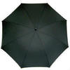 Зонт-трость ультралегкий Guy de Jean Bristol