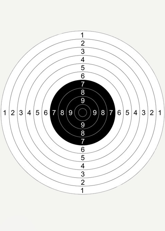 Мишень для пневматической винтовки. Мишень для воздушки 10 метров а4. Мишень для воздушки 50 метров а4. Мишень для пневматики а4 25 метров. Мишень для пневматики 50 метров.