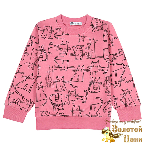 Свитшот хлоп/начес д (3-7) 241030-BK1718T.2