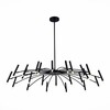 Светильник потолочный ST Luce Spidey SL1214.402.24