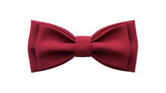 Однотонный галстук - бабочка (бордовый)
