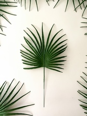 Пальма круглая зеленая, лист 20 см, зелень искусственная, набор 15 листьев.