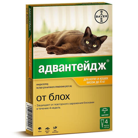 Адвантейдж для котят и кошек до 4 кг 1 ПИПЕТКА