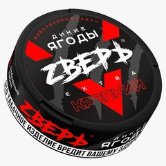 Zverь
