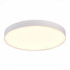 Светильник потолочный ST Luce ST606.532.96