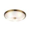 Потолочный светильник Odeon Light Pelow 4956/5
