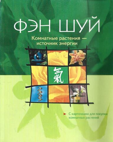 Фэн Шуй. Комнатные растения - источник энергии