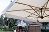Зонт профессиональный Torino Braccio, имитация ироко, слоновая кость
