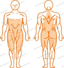 Комплекс пневматических реабилитационных тренажеров: Тренировка туловища Rotator (Ротатор)